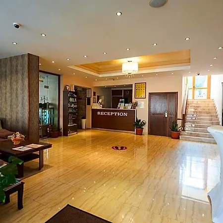 Paradise 3*
